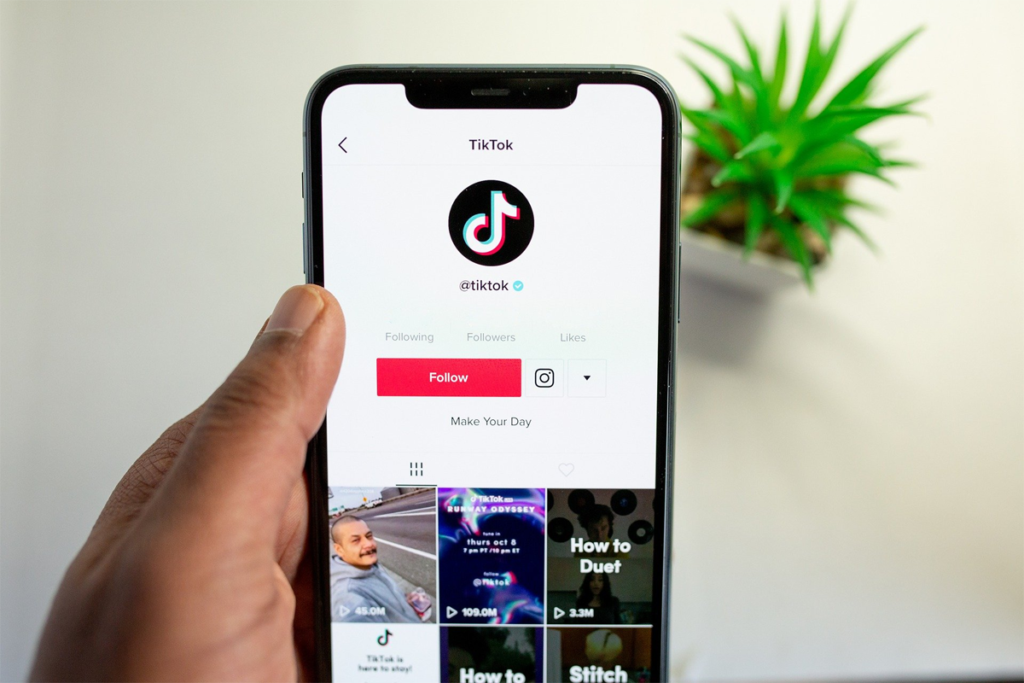 Optimizing TikTok Profile